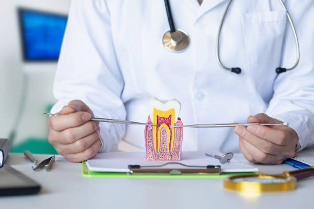 Best Emergency Dental Services for Seniors in Mccom, OH